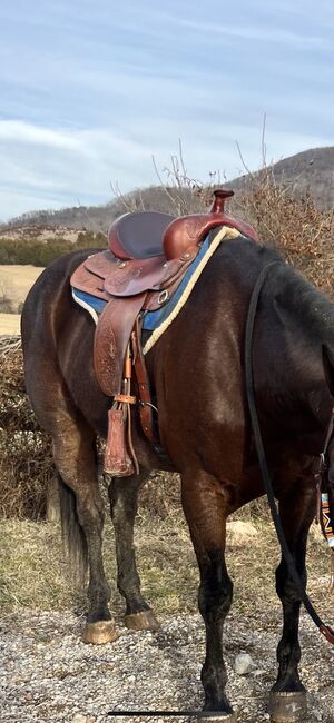 Beautiful Used Texas Tan All Around Saddle, Tex Tan, Taylor Heldreth, Western Saddle, Blacksburg , Image 2