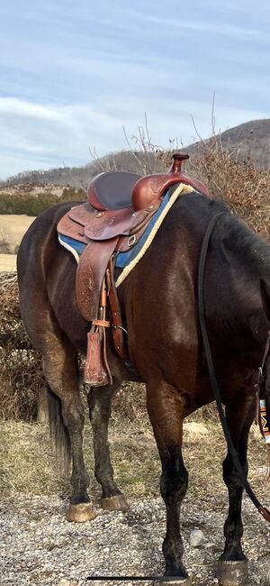 Beautiful Used Texas Tan All Around Saddle, Tex Tan, Taylor Heldreth, Westernsattel, Blacksburg , Abbildung 2