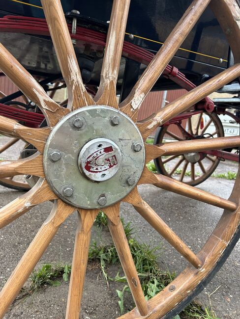 Schöne Wagonette, Geraldine Wiedemann, Carriages, Leubsdorf, Image 6