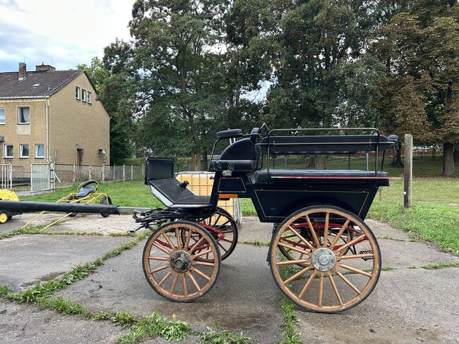 Schöne Wagonette, Geraldine Wiedemann, Carriages, Leubsdorf, Image 12