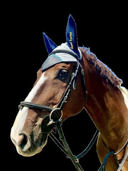 Beautiful white with full silver glitter saddle pad and ear bonnet set, Angel Equine , Abbey, Other Pads, Pretoria , Image 3