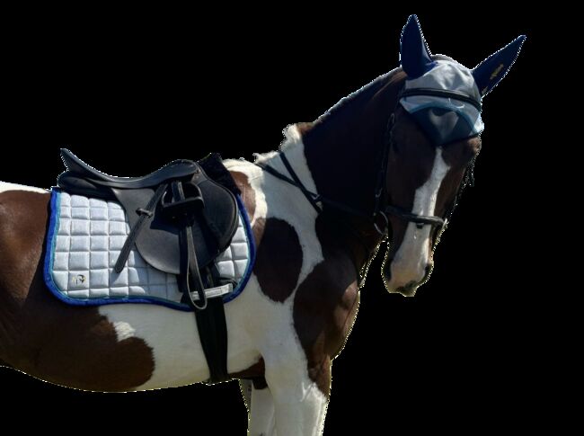 Beautiful white with full silver glitter saddle pad and ear bonnet set, Angel Equine , Abbey, Other Pads, Pretoria , Image 4
