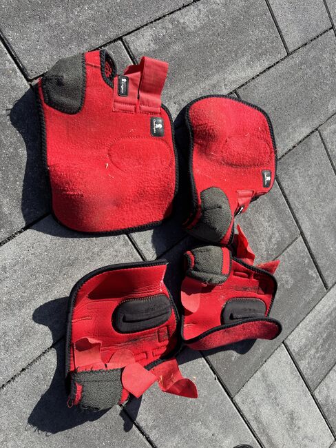 Fesselkopfgamaschen für vorne und hinten, Franziska , Tendon Boots, Mayen 