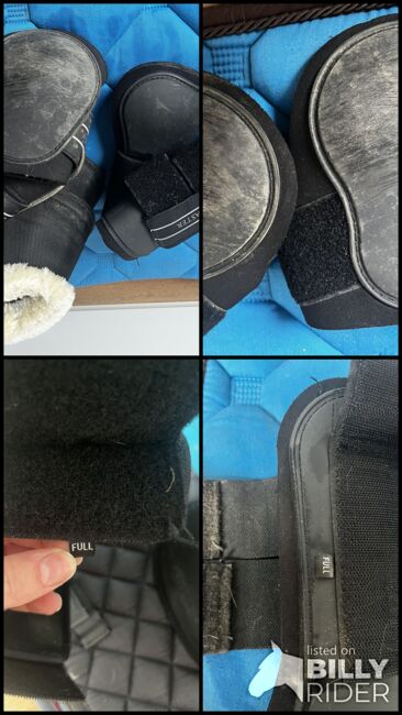 Beinschutz set oder einzeln, Showmaster / Felix Bühler, Isabella Wolf, Tendon Boots, Ingolstadt , Image 7