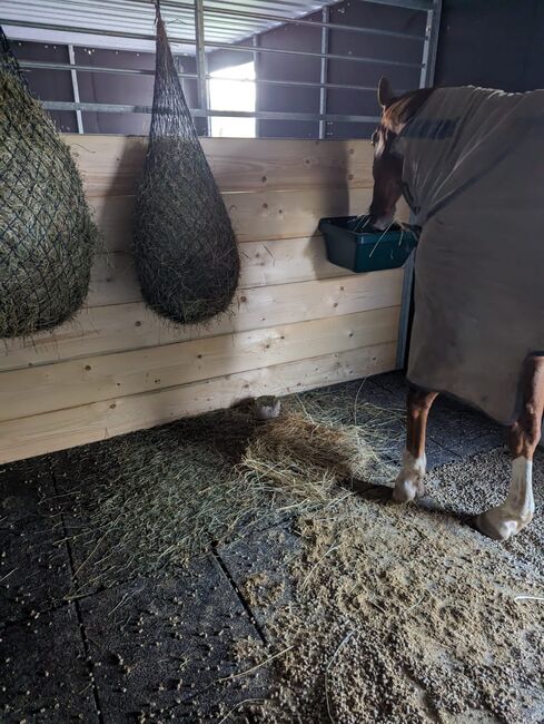Gebrauchte Weidehütte der Firma Hippo-Tech, Hippo-Tech Gebrauchte Mobile Weidehütte, Christina Krollmann , Horse Stables, Gau-Bickelheim , Image 4