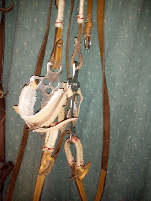 Gebraucht Western Trense, Ohne Marken Angabe  Western, Michaela haarlammert , Bridles & Headstalls, Westerkappeln , Image 2