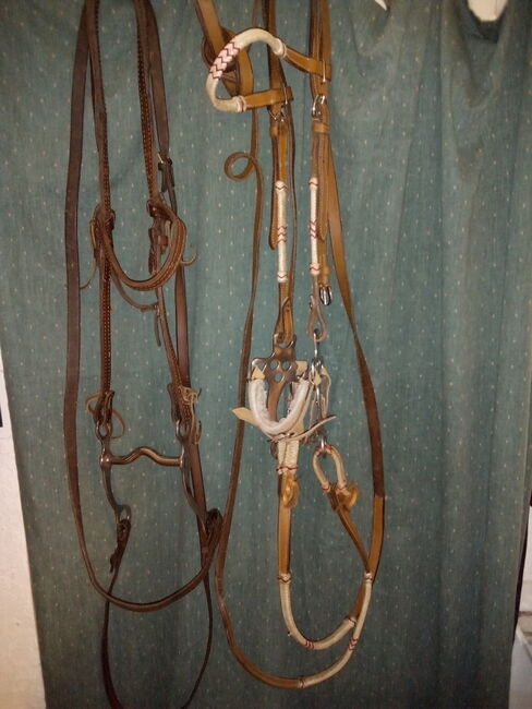 Gebraucht Western Trense, Ohne Marken Angabe  Western, Michaela haarlammert , Bridles & Headstalls, Westerkappeln , Image 3