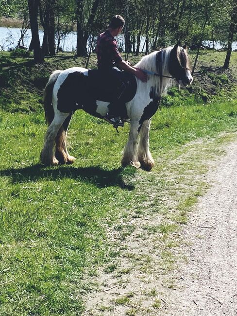 Anfänger pferd kinderpony lehrpferd, Yvonne , Horses For Sale, Grimma, Image 7