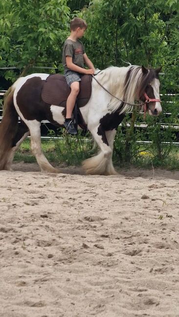 Anfänger pferd kinderpony lehrpferd, Yvonne , Horses For Sale, Grimma, Image 2