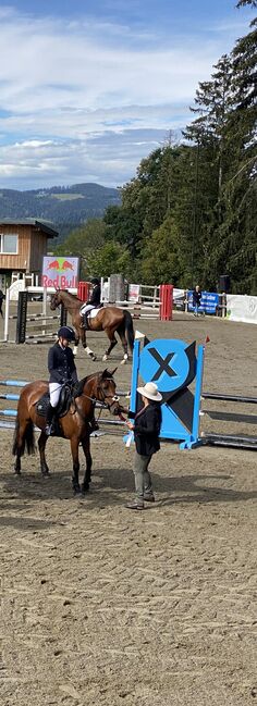 Belgisches Sportpony mit Turniererfahrung, Christina , Horses For Sale, Wundschuh , Image 6