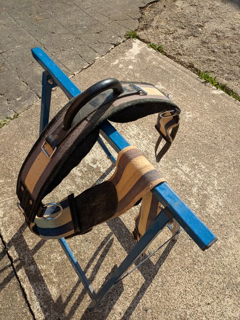 Gurt kut Haltegriff, ponymausi, Saddle Accessories, Naumburg