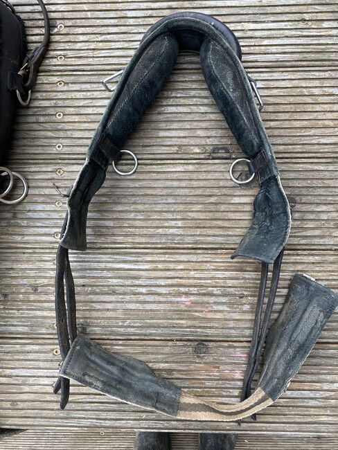 Gurt, Leder, mit großem Griff, Anouk, Lunging, Bad Oldesloe, Image 2