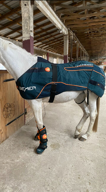 Bemer Horse Set, Bemer, A.  Hecht, Horse Blankets, Sheets & Coolers, Malitschkendorf