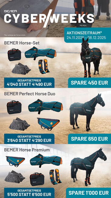 Bemer Horse Set, Bemer, A.  Hecht, Horse Blankets, Sheets & Coolers, Malitschkendorf