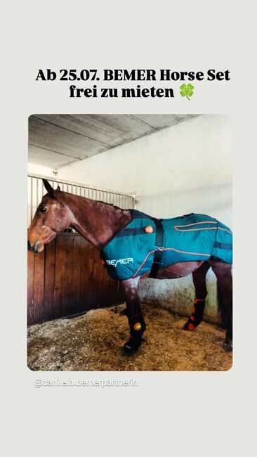 Bemer Horse Set, Bemer  Horse Set , Daniela Emeder-Brunschütz , Horse Blankets, Sheets & Coolers, Raudaschlmühle