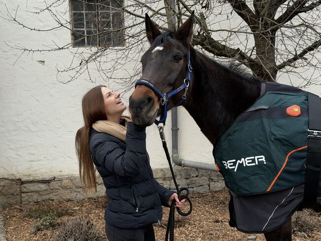 Bemer Horse Set, Bemer Evo, Bemer, Bemerpartnerin Julie Meder, Horse Blankets, Sheets & Coolers, Bad Karlshafen