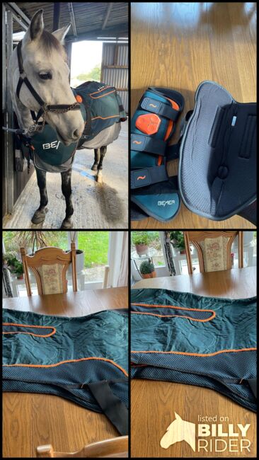 Bemer Horse Set, Bemer Horse Set, Linea Haß, Pferdedecken, Kiel, Abbildung 6