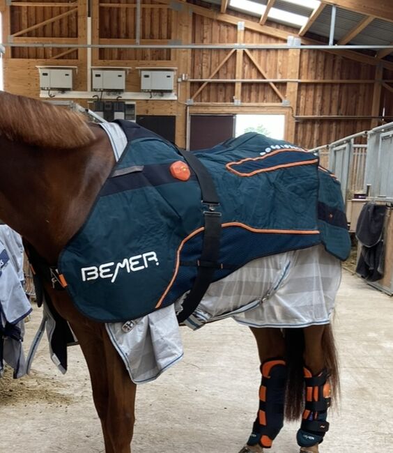 Bemer Horse-Set, Bemer Bemer Horse-Set, Weber, Pferdedecken, Rheinfelden, Abbildung 2