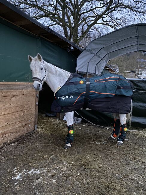 Bemer Horse Set, Bemer Horse Set, MP, Pferdedecken, Saarbrücken