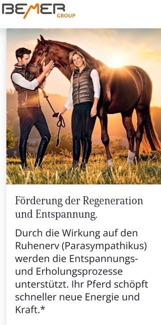BEMER Horse-Set Vermietung, BEMER Horse-Set, Kristin Wilstermann, Therapy & Treatment, Wentorf A/S, Image 4