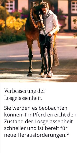 BEMER Horse-Set Vermietung, BEMER Horse-Set, Kristin Wilstermann, Therapie & Behandlung, Wentorf A/S, Abbildung 3