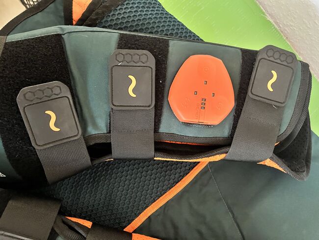 Bemer Horseset, Bemer Horseset , Gürth , Horse Blankets, Sheets & Coolers, Linnich