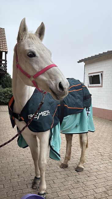 Bemer Decke, Bemer, Sophia, Horse Blankets, Sheets & Coolers, Eisenberg (Pfalz)