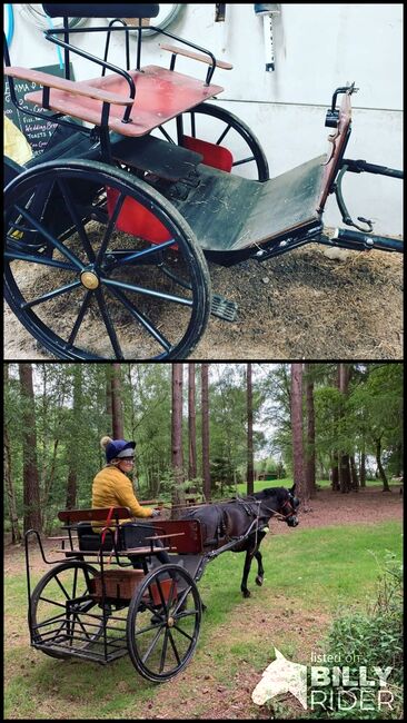 Bennington buccaneer carriage, Bennington  Buccaneer , Gemma , Kutschen, Midhurst, Abbildung 3