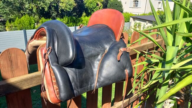 Bentaiga Sattel, Bentaiga, Petra Mössinger, Other Saddle, Oberhausen, Image 3