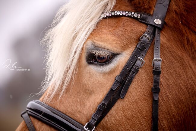 Bergfee - Haflinger Stute, 8 Jahre, Fuchs mit hellem Langhaar, WOW Pferd  (WOW Pferd), Konie na sprzedaż, Bayern - Attenkirchen
