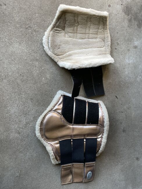 Gamaschen Dressur L Harrys Horse, Harrys Horse, Pia Pfaffmann, Tendon Boots, Falkensee