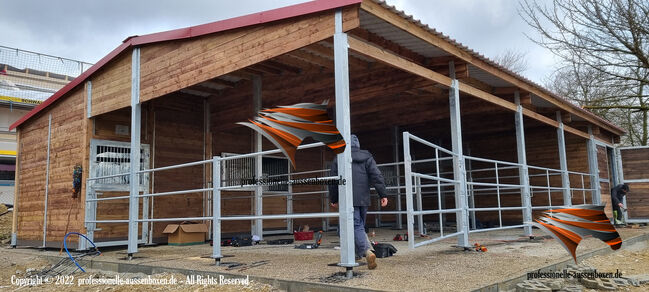 Die Beste Angebot - Außenbox, Pferdestall, Pferdebox und Offenstall, Weidehütte pferd, Stallbau, AUSSENBOXEN PFERDESTALL - PFERDEBOXEN, AUSSENBOXEN (AUSSENBOXEN), Horse & Stable Mats, Wałcz, Image 27