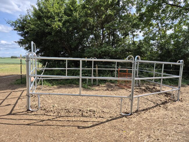 Weidepanels 3m breit, 1,70m hoch  3-rohrig, Andrea, Horse Shelters & Tents, Königsbach-Stein , Image 2