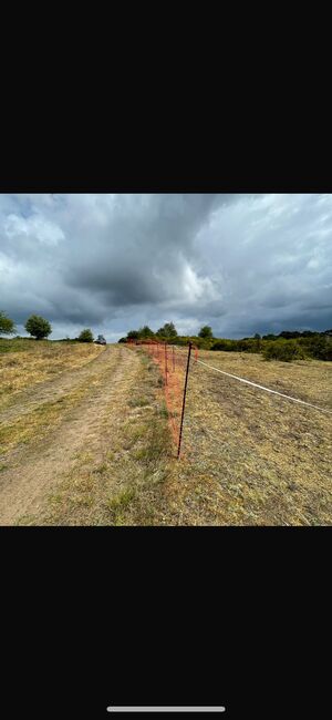 Weidezaun Pferdenetz „Euronetz“ – 3x50m (insgesamt 150m), 145cm hoch – mit extra Pfählen, Euronetz  Euronetz Pferdenetz, 25–50 m, bis 170 cm, Suchomski , Electric Fencing Equipment, Sellin, Image 10