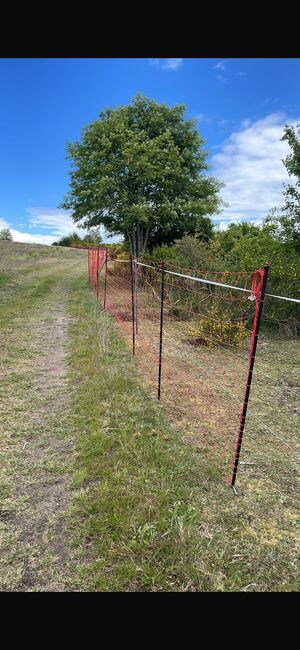 Weidezaun Pferdenetz „Euronetz“ – 3x50m (insgesamt 150m), 145cm hoch – mit extra Pfählen, Euronetz  Euronetz Pferdenetz, 25–50 m, bis 170 cm, Suchomski , Electric Fencing Equipment, Sellin, Image 9