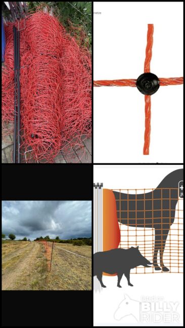 Weidezaun Pferdenetz „Euronetz“ – 3x50m (insgesamt 150m), 145cm hoch – mit extra Pfählen, Euronetz  Euronetz Pferdenetz, 25–50 m, bis 170 cm, Suchomski , Electric Fencing Equipment, Sellin, Image 11