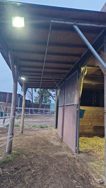 Weidehütte 6x3 m, Nadia , Tack Room & Stable Supplies, Bad Harzburg Bündheim/Schlewecke, Schlewecke, Image 2