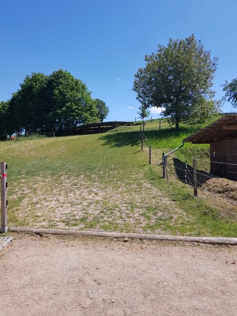 Bewegungstall Offenstall hat Platz für zwei Wallache frei, AL, Horse Stables, Lettenreuth, Image 7