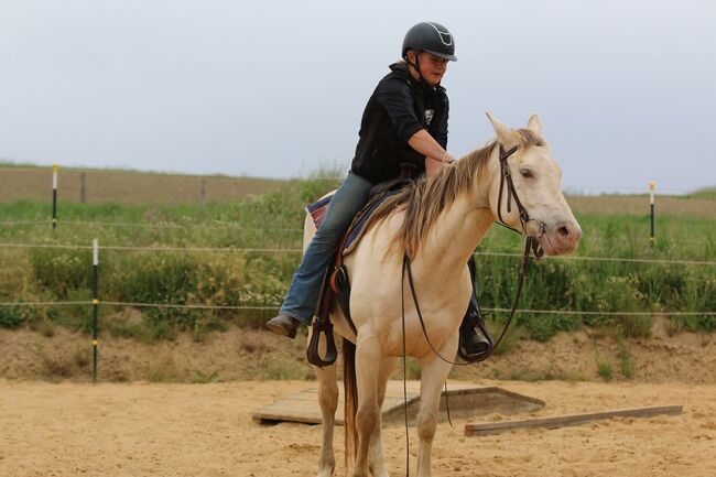 Bezaubernde Quarter Horse Stute in Traumfarbe, Kerstin Rehbehn (Pferdemarketing Ost), Pferd kaufen, Nienburg, Abbildung 17