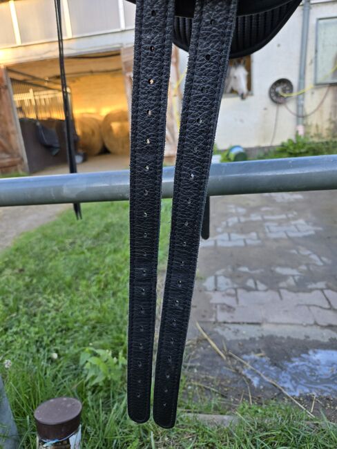 Sattel Baumlos Marke Torsion, Torsion, Angela Kühn, Bezdrzewne siodło, Schwedt/ Oder, Image 10