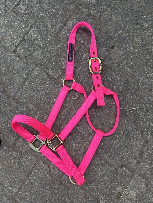 Big D - Halfter Pink -neu!, Big D, Jolina Lehner, Halters, Neustadt an der Weinstraße