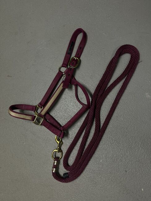 Big D Halfter Set, Big D, Isabella, Halters, Wien
