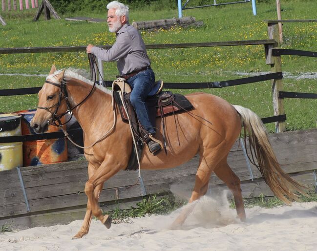 Bildhübsche Palomino (Roan) Quarter Horse Stute - Ein echter Eyecatcher mit Talent und Charakter, Kerstin Rehbehn (Pferdemarketing Ost), Pferd kaufen, Nienburg, Abbildung 17