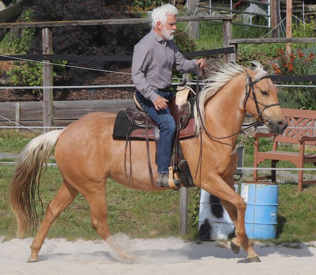 Bildhübsche Palomino (Roan) Quarter Horse Stute - Ein echter Eyecatcher mit Talent und Charakter, Kerstin Rehbehn (Pferdemarketing Ost), Pferd kaufen, Nienburg, Abbildung 18