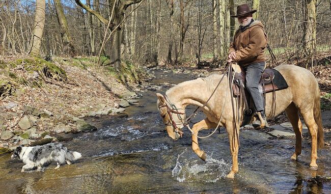 Bildhübsche Palomino (Roan) Quarter Horse Stute - Ein echter Eyecatcher mit Talent und Charakter, Kerstin Rehbehn (Pferdemarketing Ost), Pferd kaufen, Nienburg, Abbildung 14