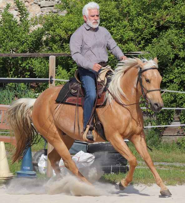 Bildhübsche Palomino (Roan) Quarter Horse Stute - Ein echter Eyecatcher mit Talent und Charakter, Kerstin Rehbehn (Pferdemarketing Ost), Pferd kaufen, Nienburg, Abbildung 19