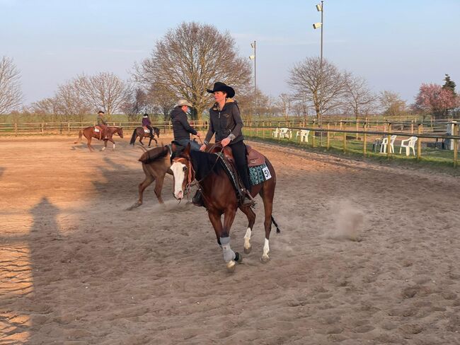 Bildhübsche Quarter Horse Stute mit erstklassiger Abstammung, Kerstin Rehbehn (Pferdemarketing Ost), Pferd kaufen, Nienburg, Abbildung 2