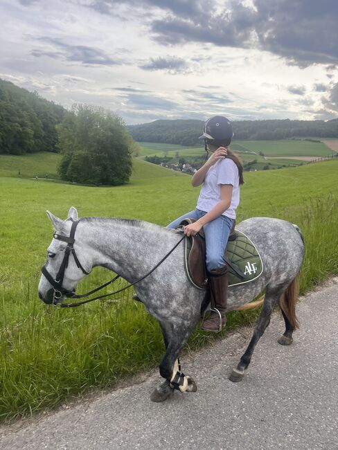 Bildschöne Polo Stute an Bestplatz, Anny, Pferd kaufen, Waldshut , Abbildung 2