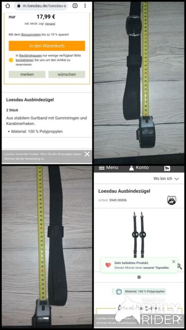 Ausbinder zu verkaufen, Nadine Kremer , Lunging, Warstein, Image 6