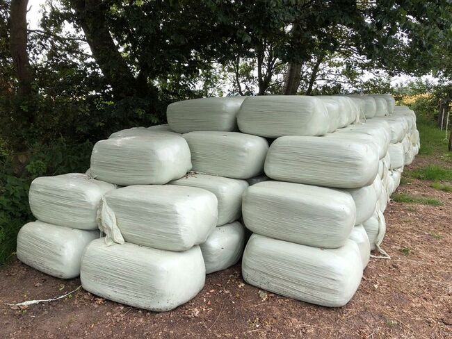 BIO Gärheu Heulage Silage, Hannes T., Hay & Straw, Mühldorf